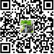 乱鸣笛项目联系方式