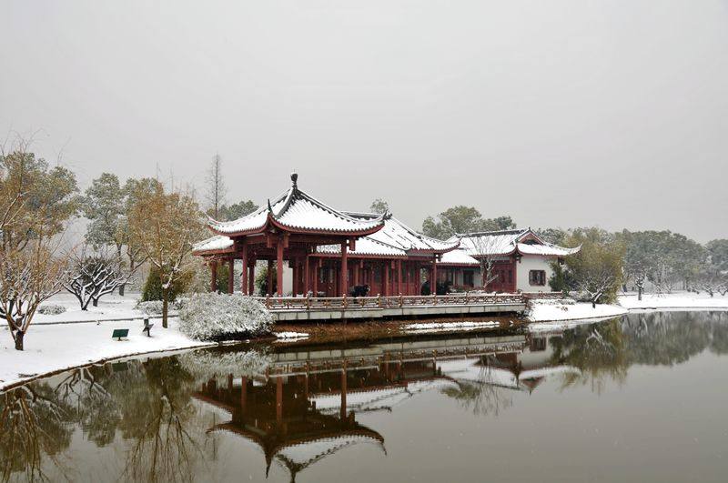 长沙城区乱鸣笛现象严重 专家：加强处罚力度