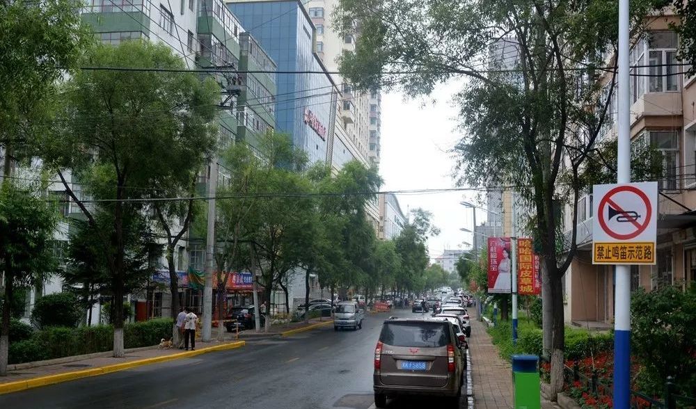 七台河市鸣笛抓拍系统